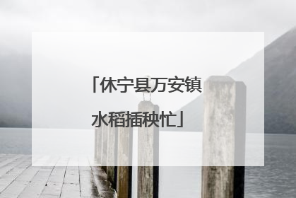 休宁县万安镇水稻插秧忙
