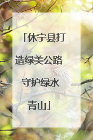 休宁县打造绿美公路 守护绿水青山