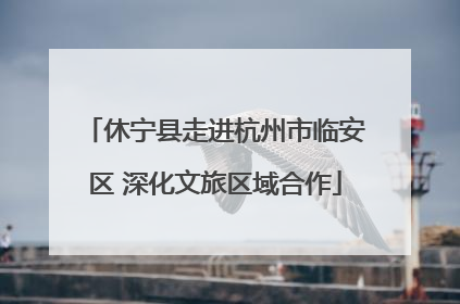 休宁县走进杭州市临安区 深化文旅区域合作