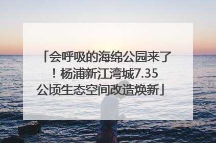 会呼吸的海绵公园来了！杨浦新江湾城7.35公顷生态空间改造焕新