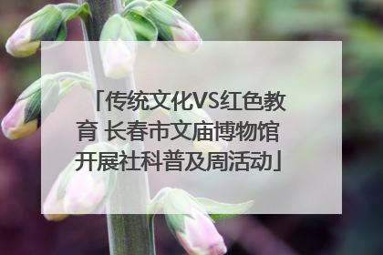 传统文化VS红色教育 长春市文庙博物馆开展社科普及周活动