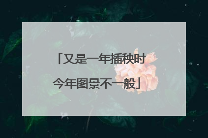 又是一年插秧时 今年图景不一般