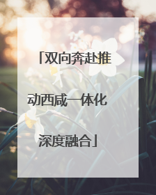 双向奔赴推动西咸一体化深度融合