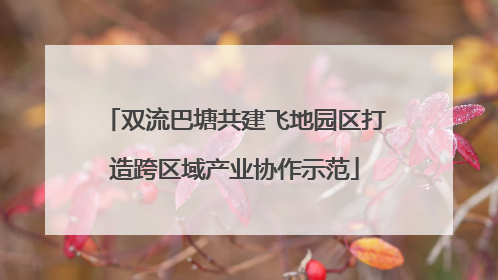 双流巴塘共建飞地园区打造跨区域产业协作示范