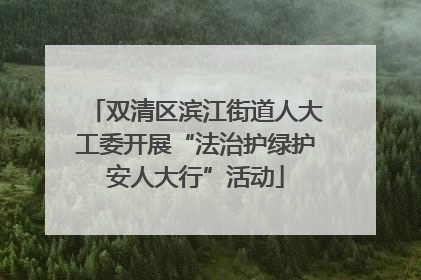 双清区滨江街道人大工委开展“法治护绿护安人大行”活动
