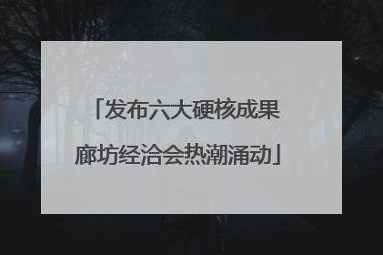发布六大硬核成果 廊坊经洽会热潮涌动