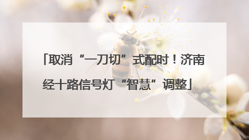 取消“一刀切”式配时！济南经十路信号灯“智慧”调整