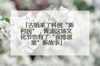 古镇来了科创“新村民”，青浦这场文化节也有了“赛博邻里”新故事