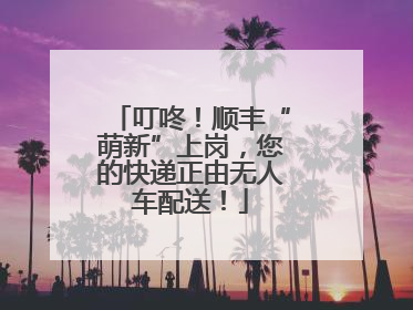 叮咚！顺丰“萌新”上岗，您的快递正由无人车配送！