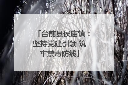 台前县侯庙镇：坚持党建引领 筑牢禁毒防线