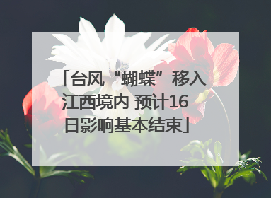 台风“蝴蝶”移入江西境内 预计16日影响基本结束