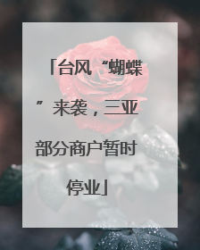 台风“蝴蝶”来袭，三亚部分商户暂时停业