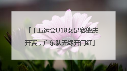 十五运会U18女足赛肇庆开赛，广东队无缘开门红
