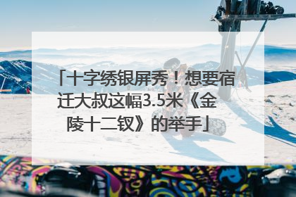 十字绣银屏秀！想要宿迁大叔这幅3.5米《金陵十二钗》的举手