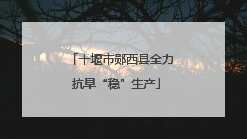 十堰市郧西县全力抗旱“稳”生产