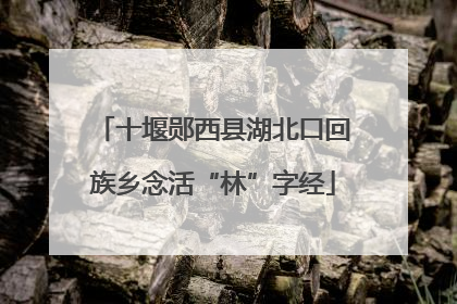 十堰郧西县湖北口回族乡念活“林”字经