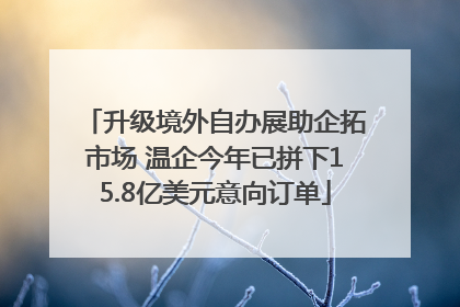 升级境外自办展助企拓市场 温企今年已拼下15.8亿美元意向订单