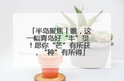 半岛聚焦丨瞧，这一幅青岛好“丰”景！愿你“芒”有所获，“种”有所得