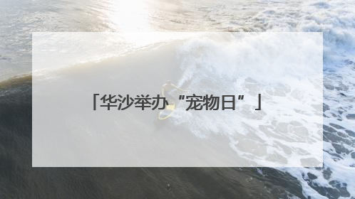 华沙举办“宠物日”