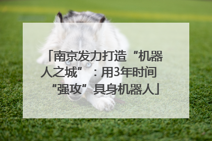 南京发力打造“机器人之城”：用3年时间“强攻”具身机器人