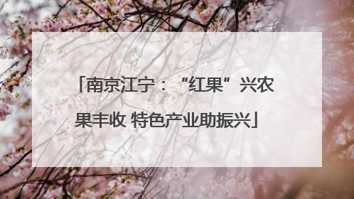 南京江宁：“红果”兴农果丰收 特色产业助振兴