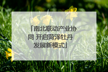 南北联动产业协同 开启菏泽牡丹发展新模式