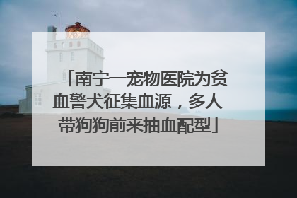 南宁一宠物医院为贫血警犬征集血源，多人带狗狗前来抽血配型