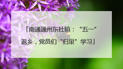 南通通州东社镇：“五一”返乡，党员们“归巢”学习