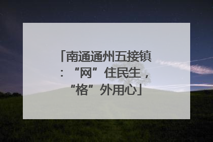 南通通州五接镇：“网”住民生，“格”外用心