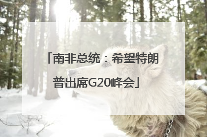 南非总统：希望特朗普出席G20峰会