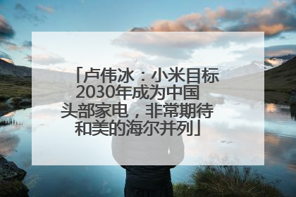 卢伟冰：小米目标2030年成为中国头部家电，非常期待和美的海尔并列