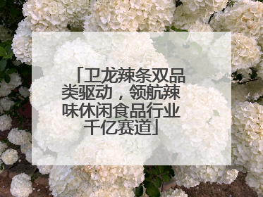 卫龙辣条双品类驱动，领航辣味休闲食品行业千亿赛道