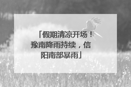 假期清凉开场！豫南降雨持续，信阳南部暴雨