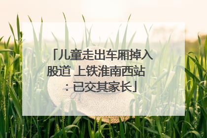 儿童走出车厢掉入股道 上铁淮南西站：已交其家长