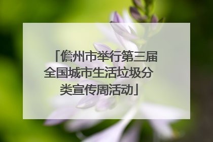 儋州市举行第三届全国城市生活垃圾分类宣传周活动