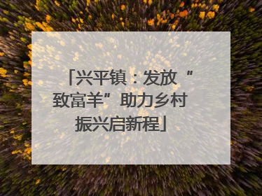 兴平镇：发放“致富羊”助力乡村振兴启新程