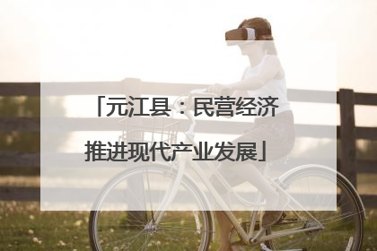 元江县：民营经济推进现代产业发展