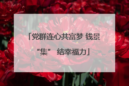 党群连心共富梦 钱景 “集” 结幸福力