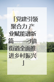 党建引领聚合力 产业赋能谱新篇——刁镇街道全面推进乡村振兴