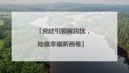 党建引领解民忧，绘就幸福新画卷