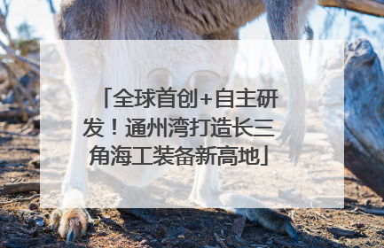 全球首创+自主研发！通州湾打造长三角海工装备新高地