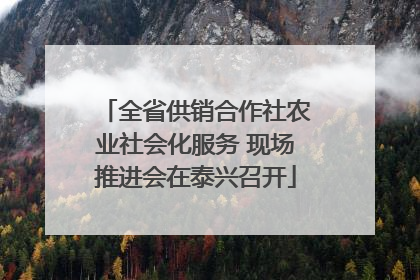 全省供销合作社农业社会化服务 现场推进会在泰兴召开