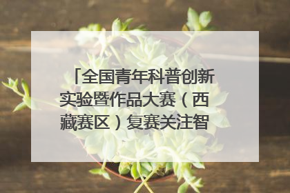 全国青年科普创新实验暨作品大赛（西藏赛区）复赛关注智慧环保等主题