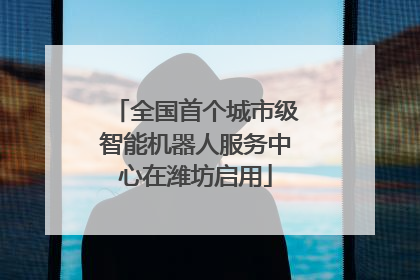 全国首个城市级智能机器人服务中心在潍坊启用