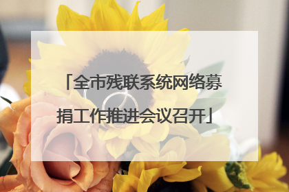全市残联系统网络募捐工作推进会议召开