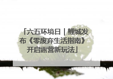 六五环境日｜鲤城发布《零废弃生活指南》开启露营新玩法