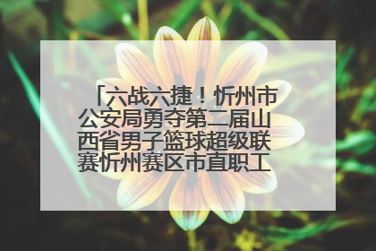 六战六捷！忻州市公安局勇夺第二届山西省男子篮球超级联赛忻州赛区市直职工组比赛冠军