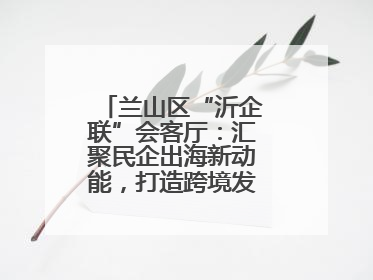 兰山区“沂企联”会客厅：汇聚民企出海新动能，打造跨境发展“强磁场”