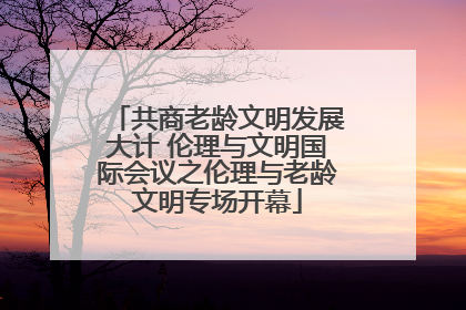 共商老龄文明发展大计 伦理与文明国际会议之伦理与老龄文明专场开幕