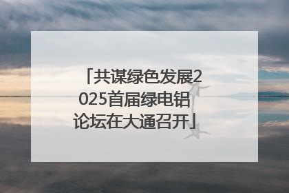 共谋绿色发展2025首届绿电铝论坛在大通召开